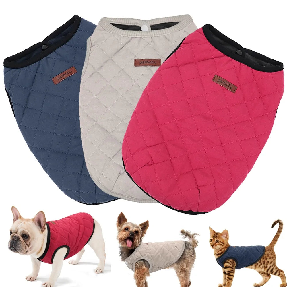 Veste d'hiver pour chien