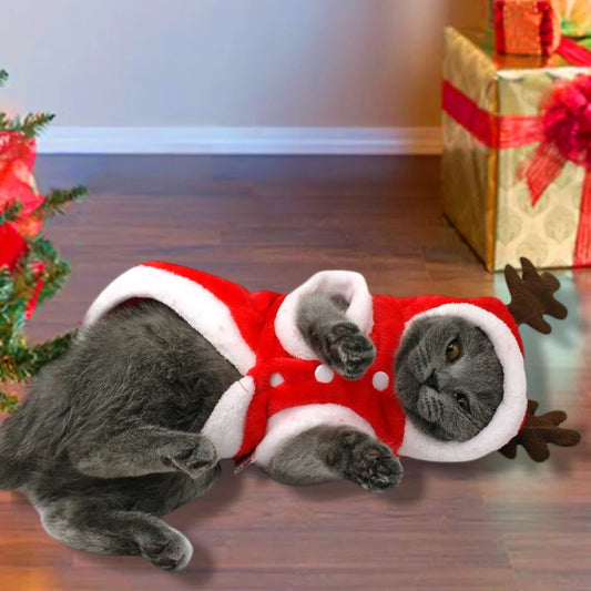 Costume de Père Noël pour chats et chiens