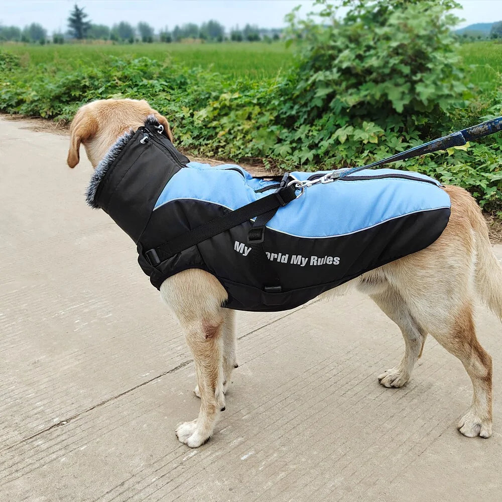 Manteau d'hiver pour chien, imperméable avec harnais