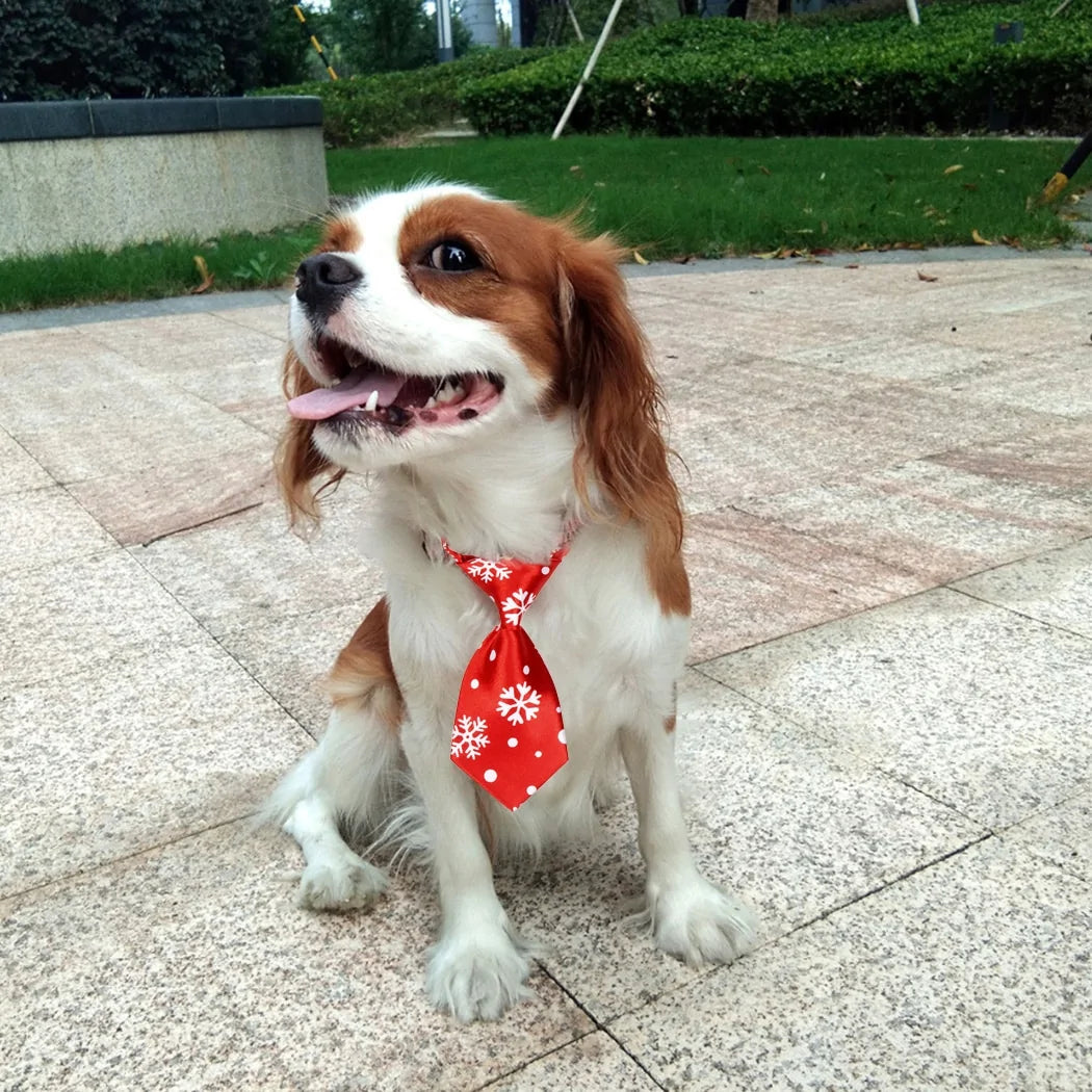 Cravate de Noël pour chien