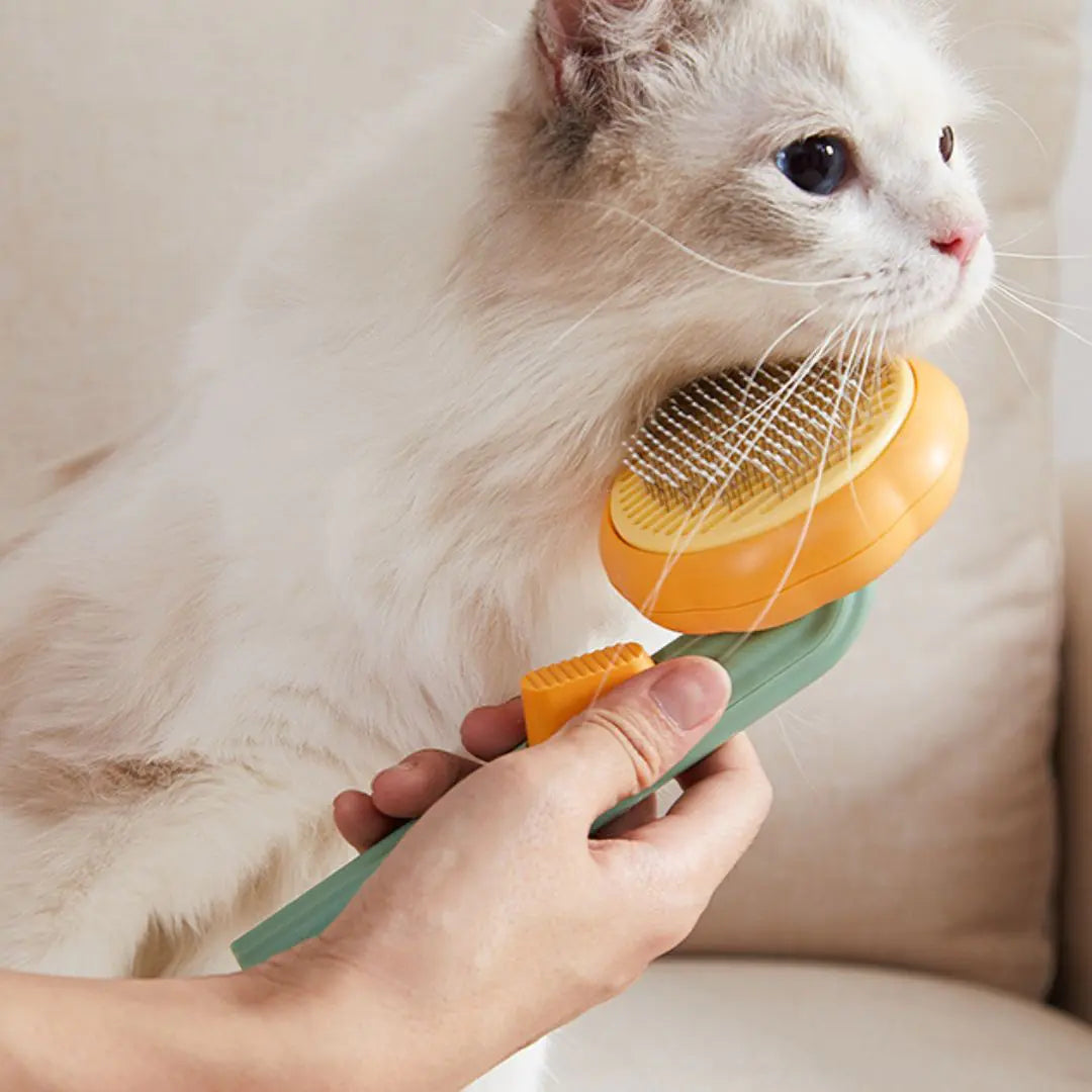 Brosse de Toilettage pour Chat et Chien